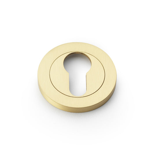 Euro Profile Escutcheon, Concealed Fix - Satin Brass | Alexander & Wilks