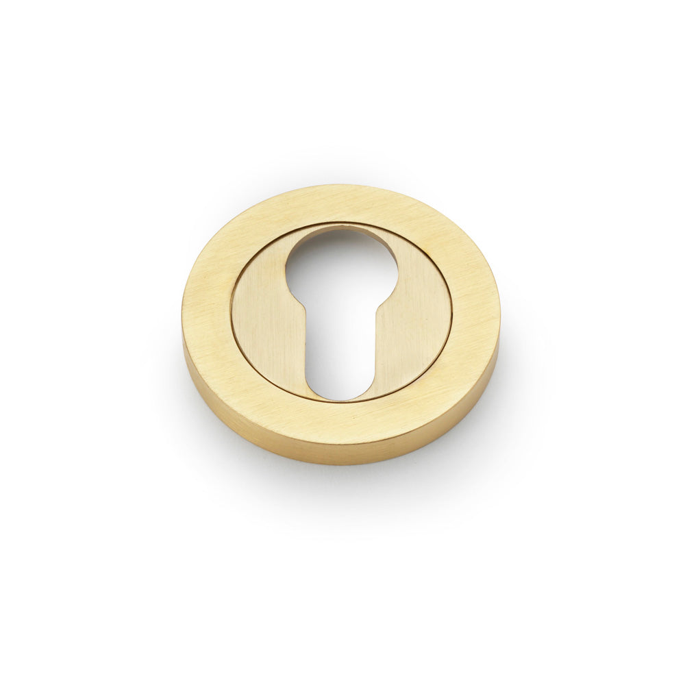 Euro Profile Concealed Fix Escutcheon - Satin Brass PVD | Alexander & Wilks