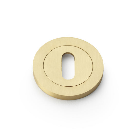 Concealed Fix Escutcheon Standard Profile - Satin Brass | Alexander & Wilks