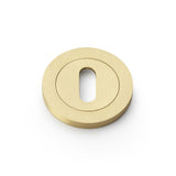 Concealed Fix Escutcheon Standard Profile - Satin Brass | Alexander & Wilks