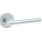 Petra Door Handles Satin Chrome JV508SC
