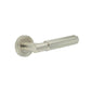 JV848SN Frelan Jedo 'Bloom' Satin Nickel Door Handles on Round Rose