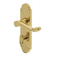 JV251 Epsom Door Handles On Plate