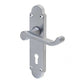 JV251 Epsom Door Handles On Plate